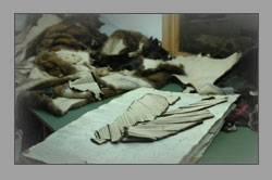 furs